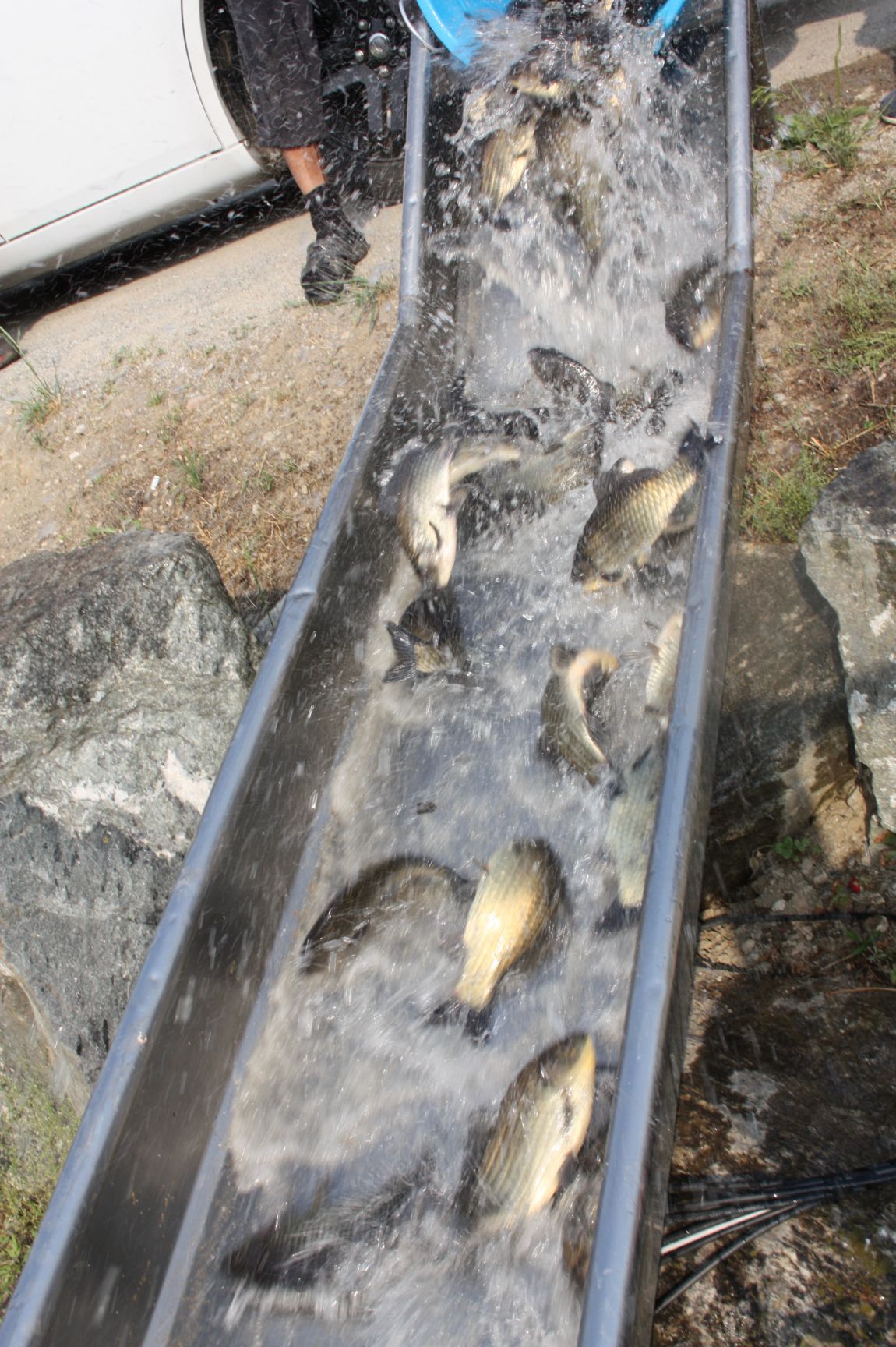 6��7�� 159.JPG