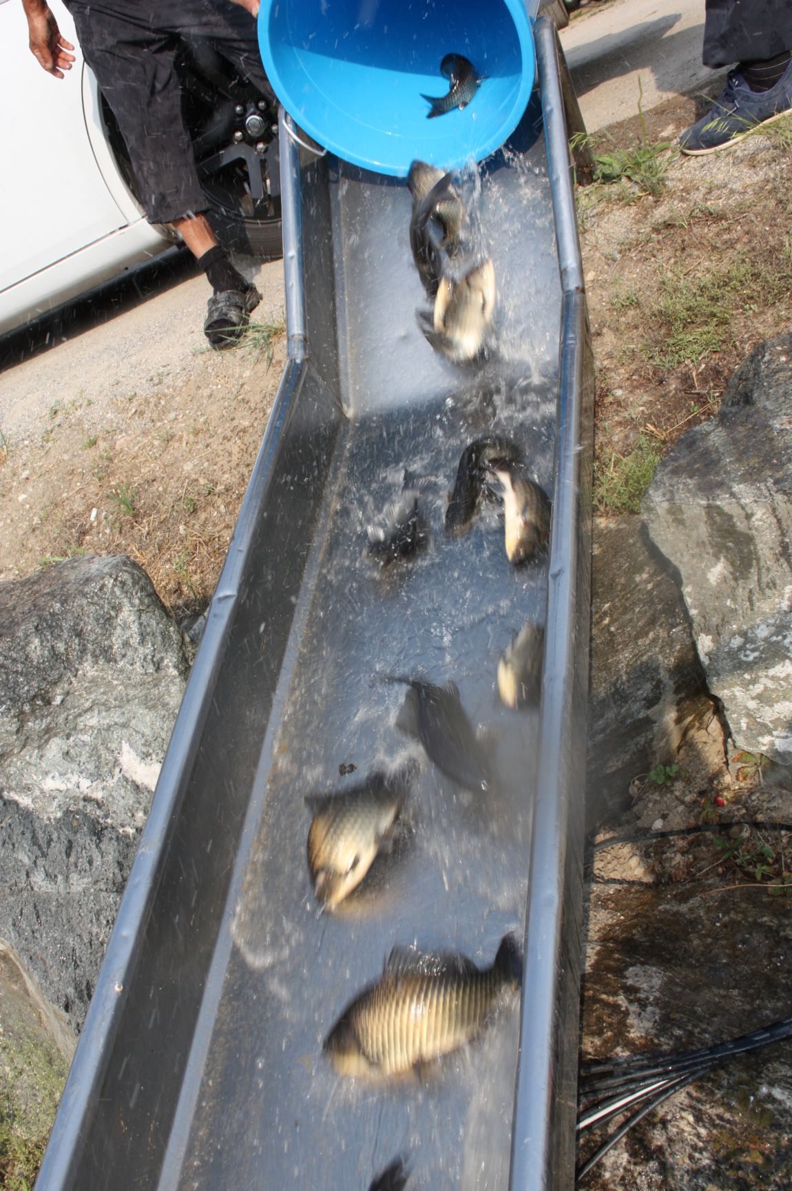 6��7�� 163.JPG