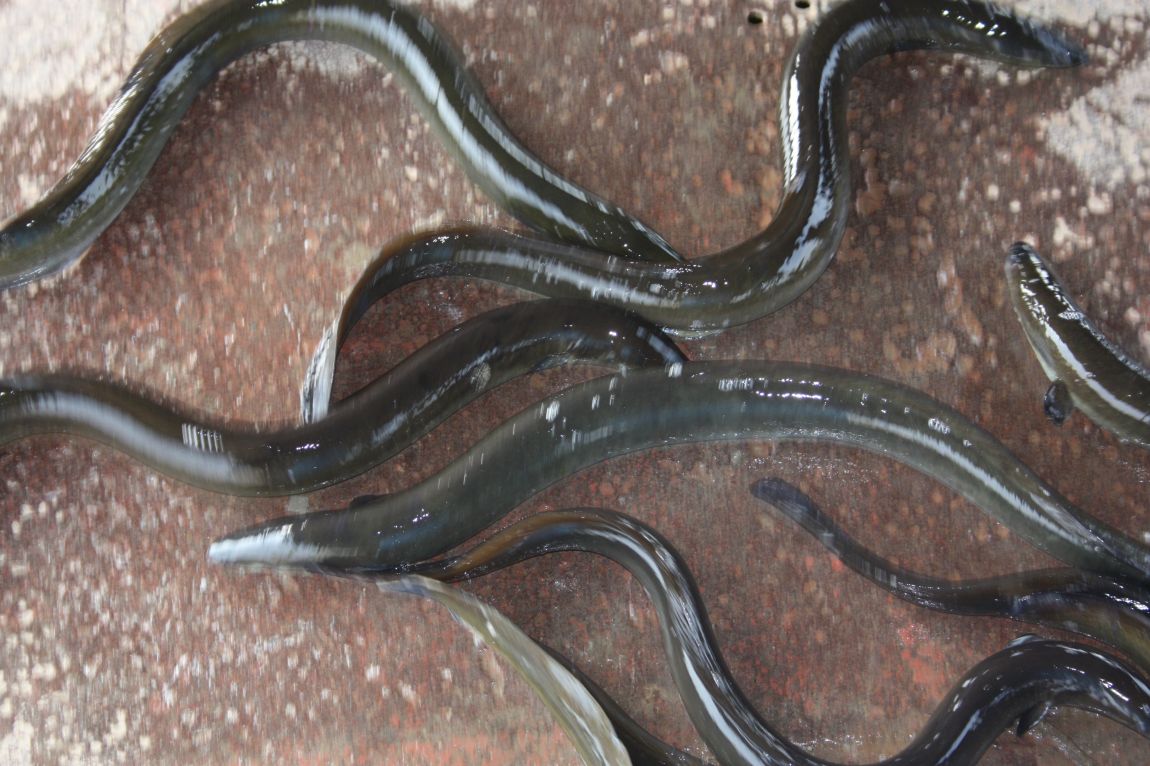 6��7�� 176.JPG