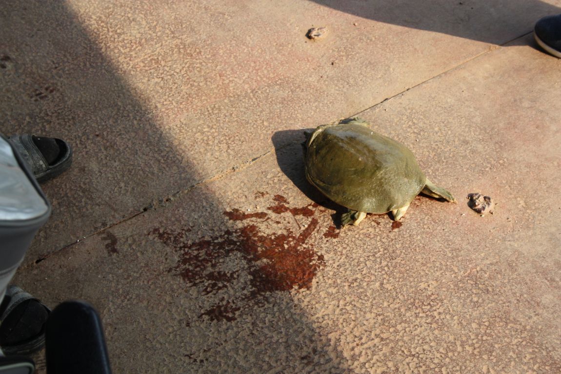 6��7�� 180.JPG