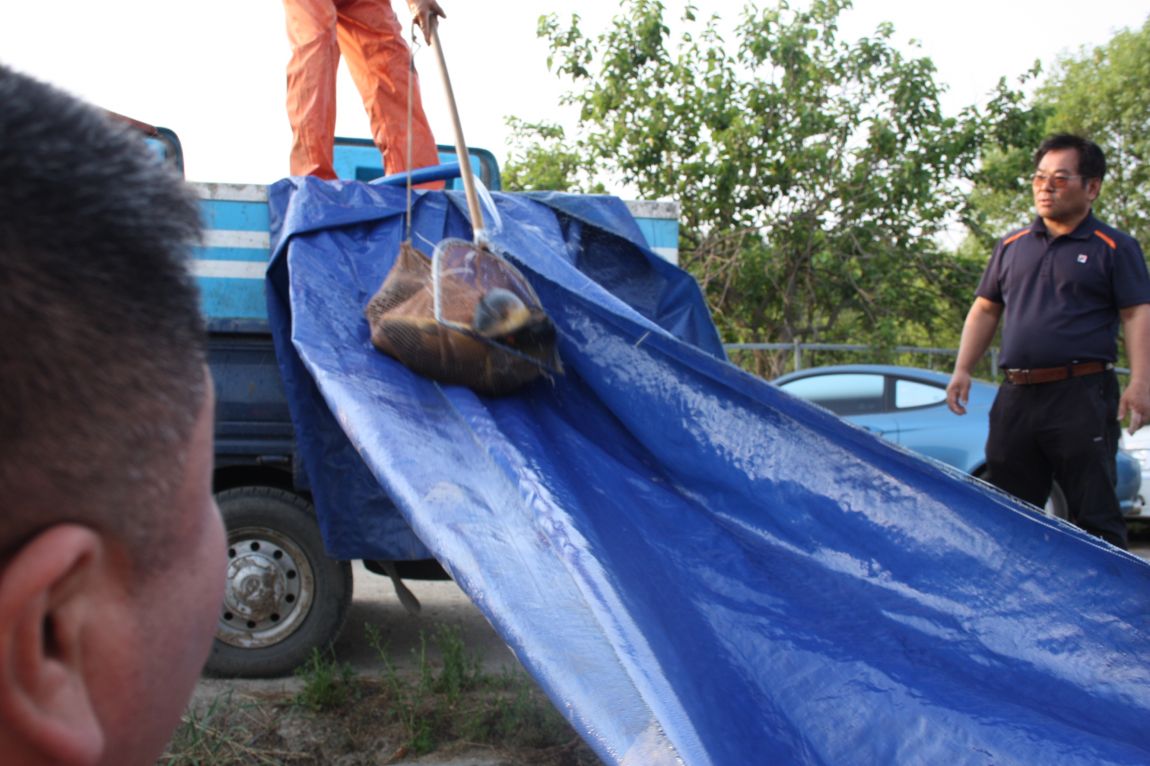 6��7�� 198.JPG