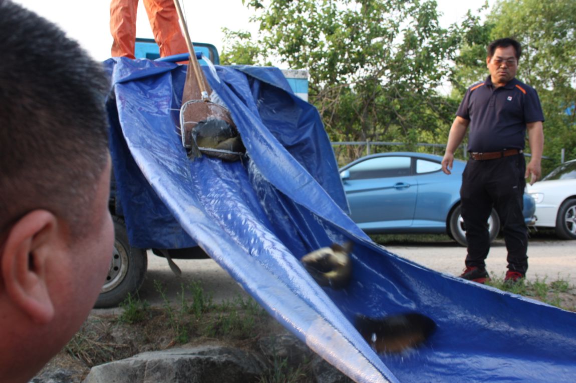 6��7�� 200.JPG