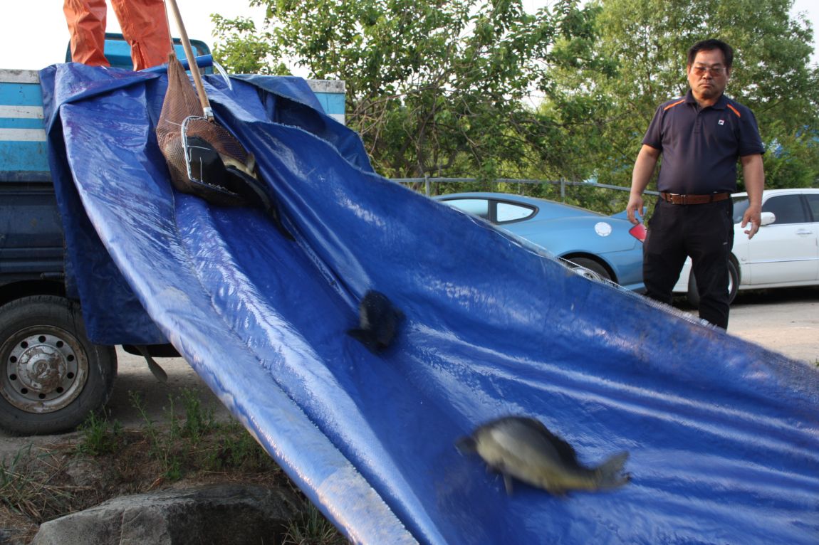 6��7�� 210.JPG