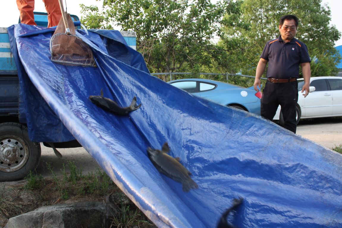 6��7�� 211.JPG