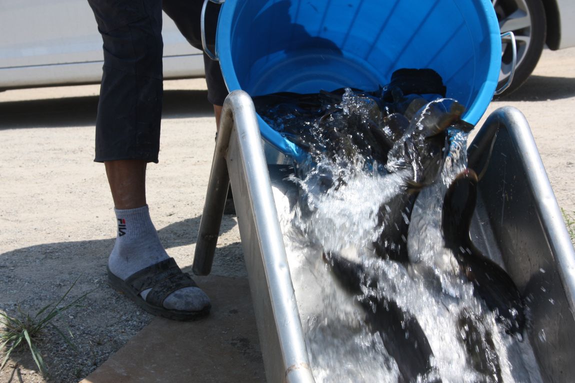 6��7�� 261.JPG