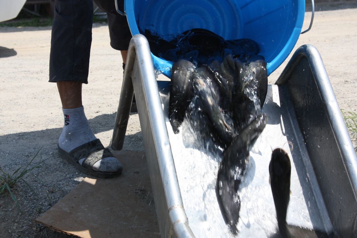 6��7�� 264.JPG