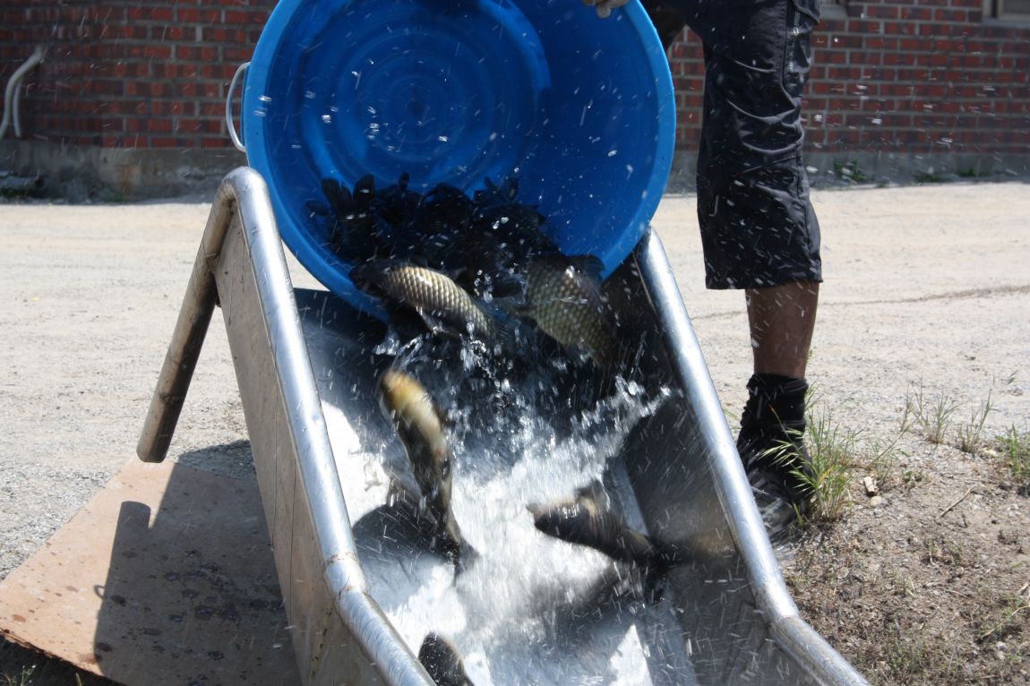 6��7�� 270.JPG