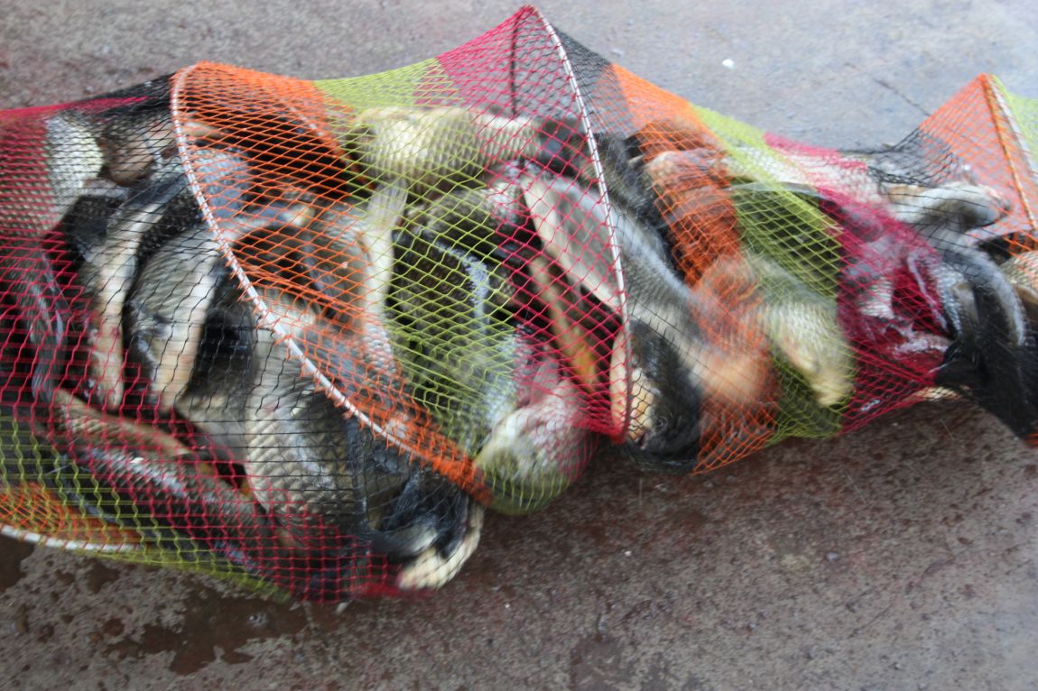 6��7�� 058.JPG