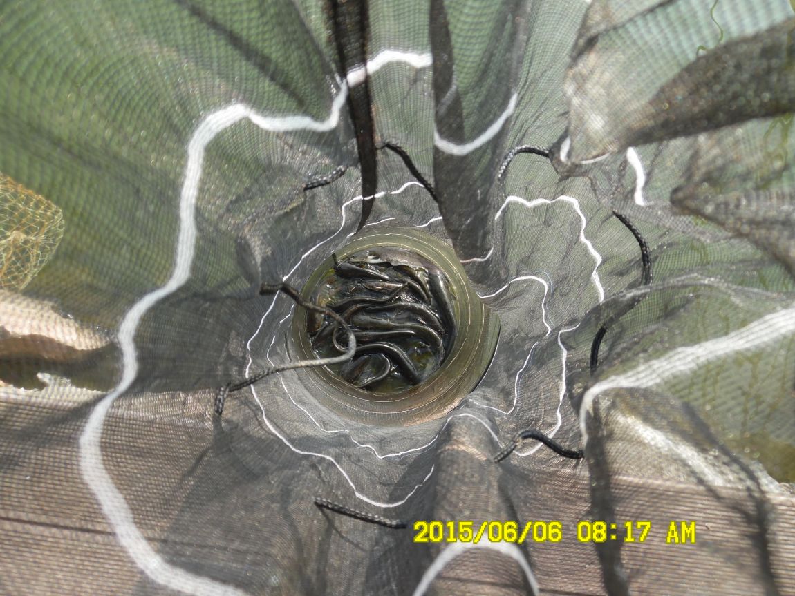 6��6��~8�� 028.JPG