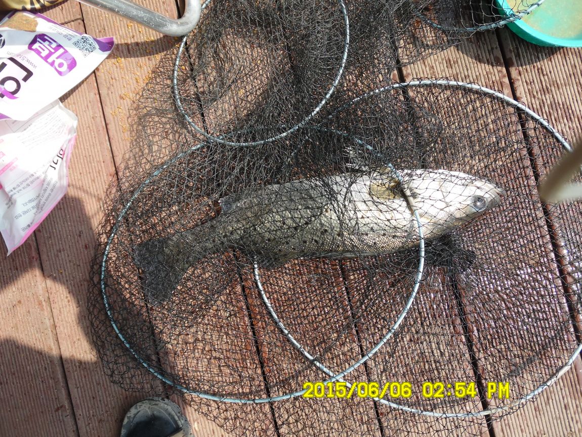 6��6��~8�� 044.JPG