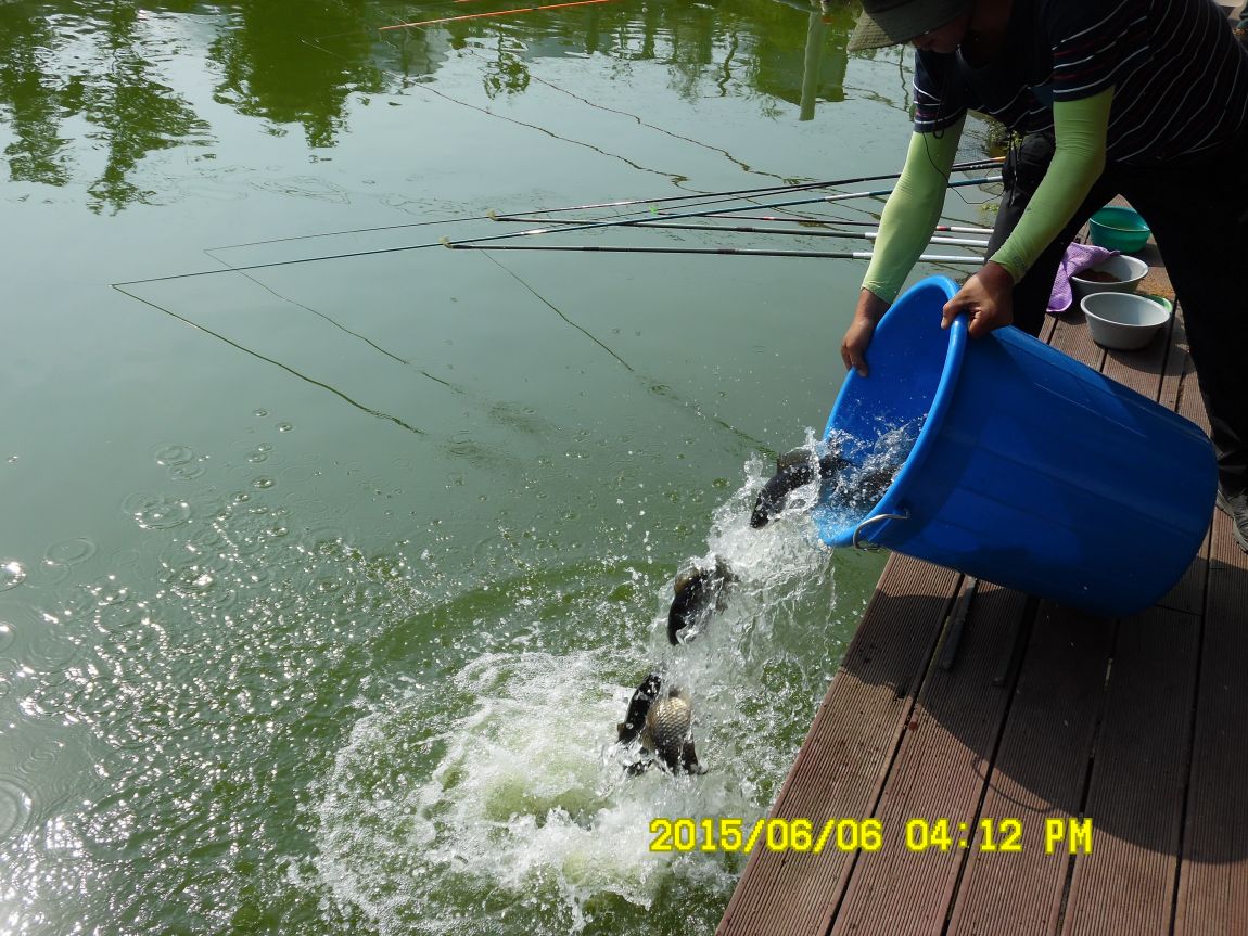 6��6��~8�� 049.JPG