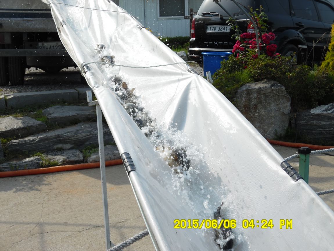 6��6��~8�� 057.JPG