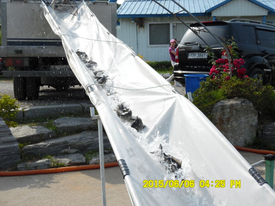 6��6��~8�� 062.JPG