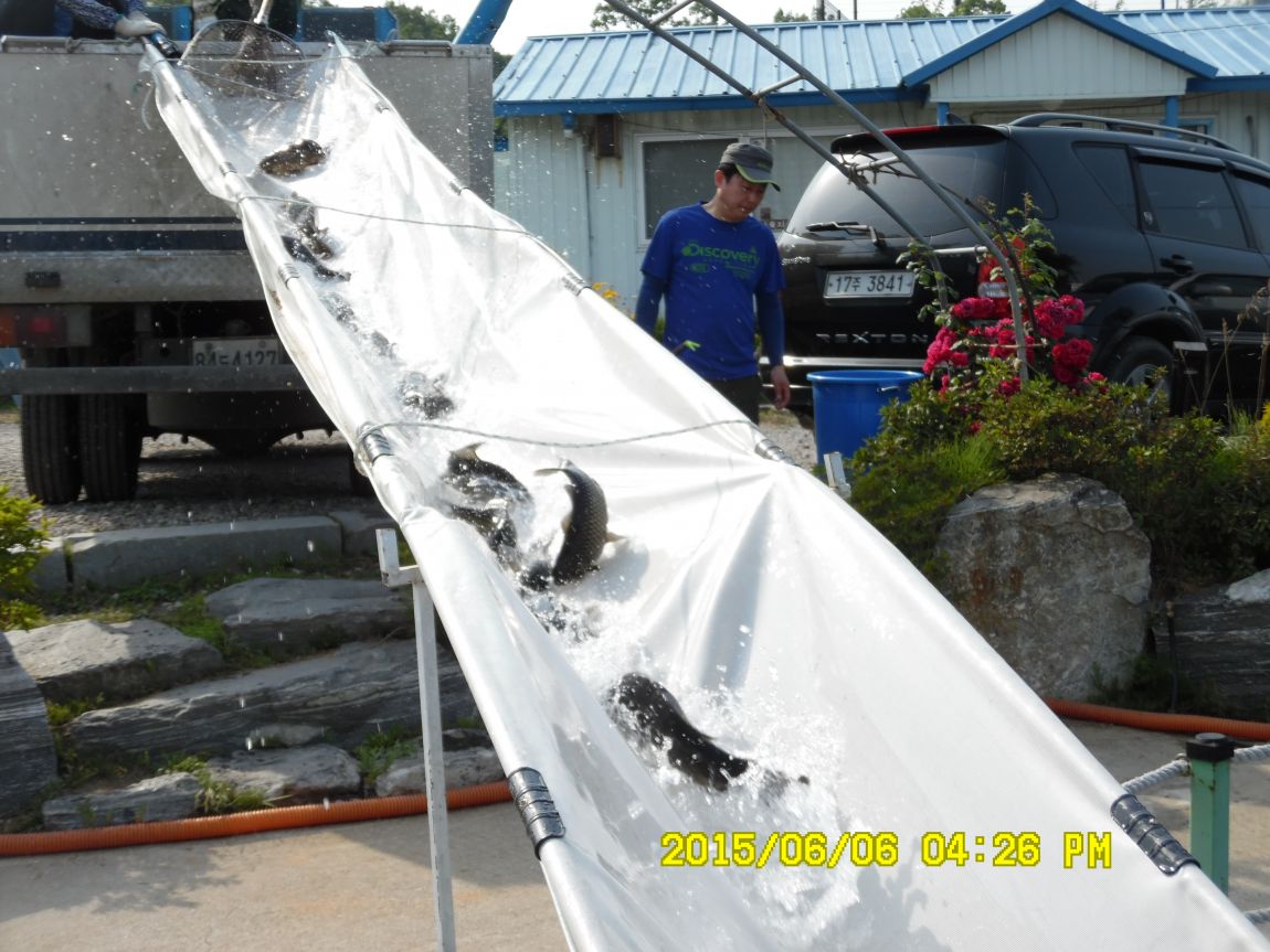 6��6��~8�� 064.JPG