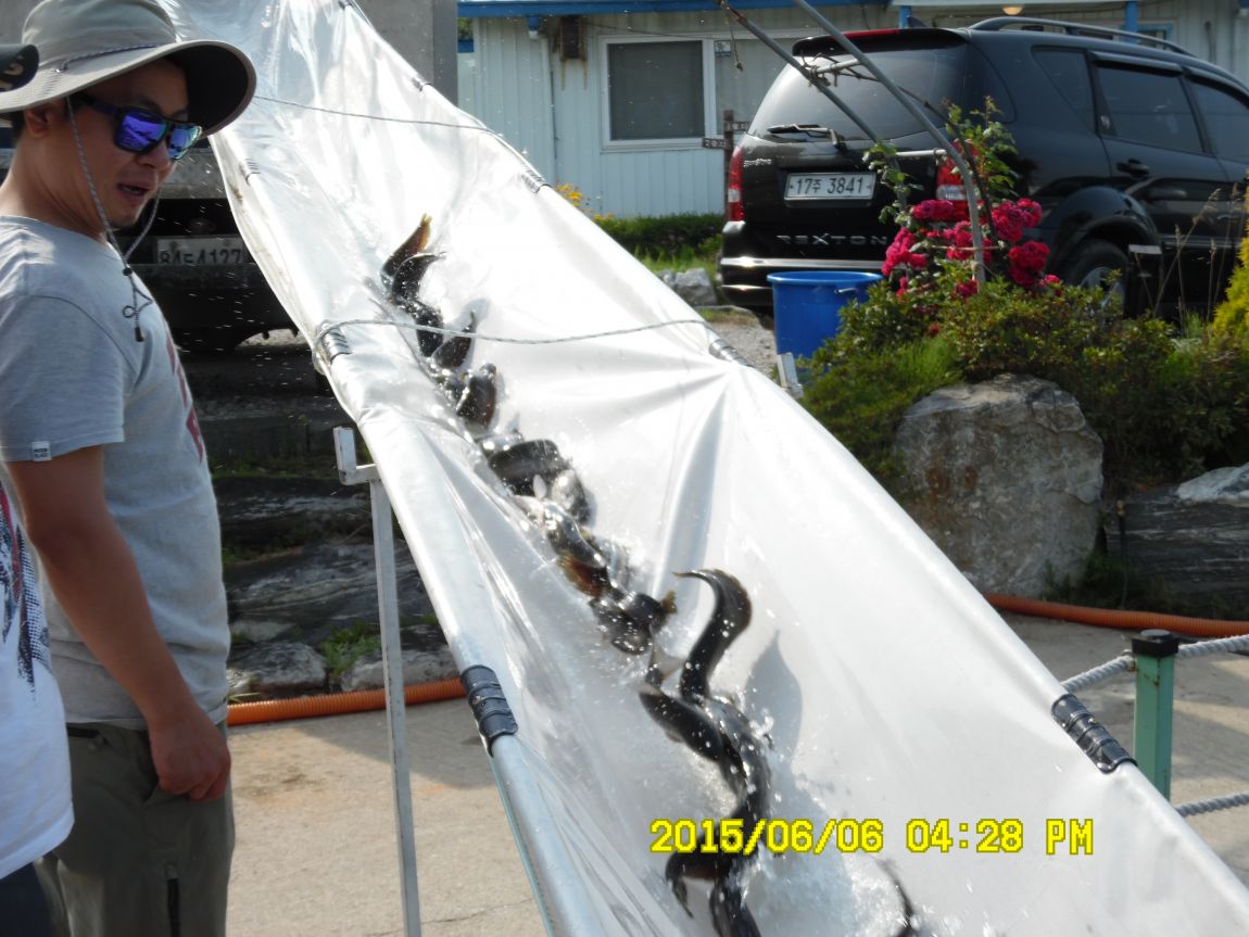 6��6��~8�� 075.JPG