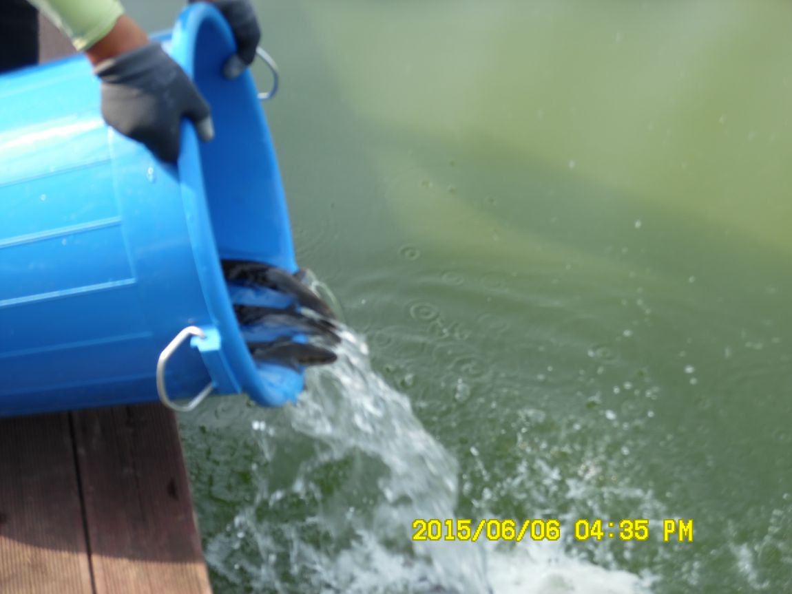 6��6��~8�� 078.JPG