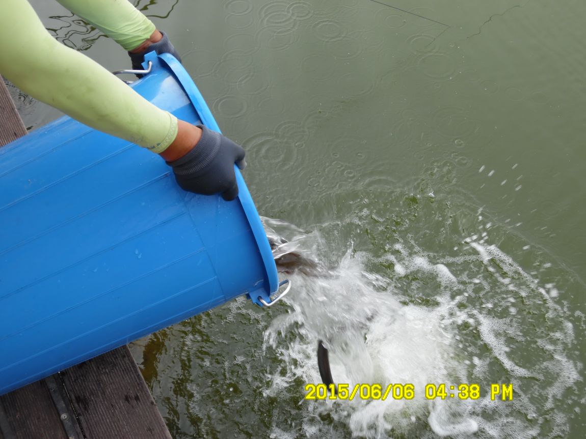 6��6��~8�� 082.JPG