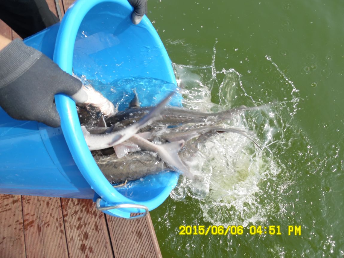 6��6��~8�� 096.JPG