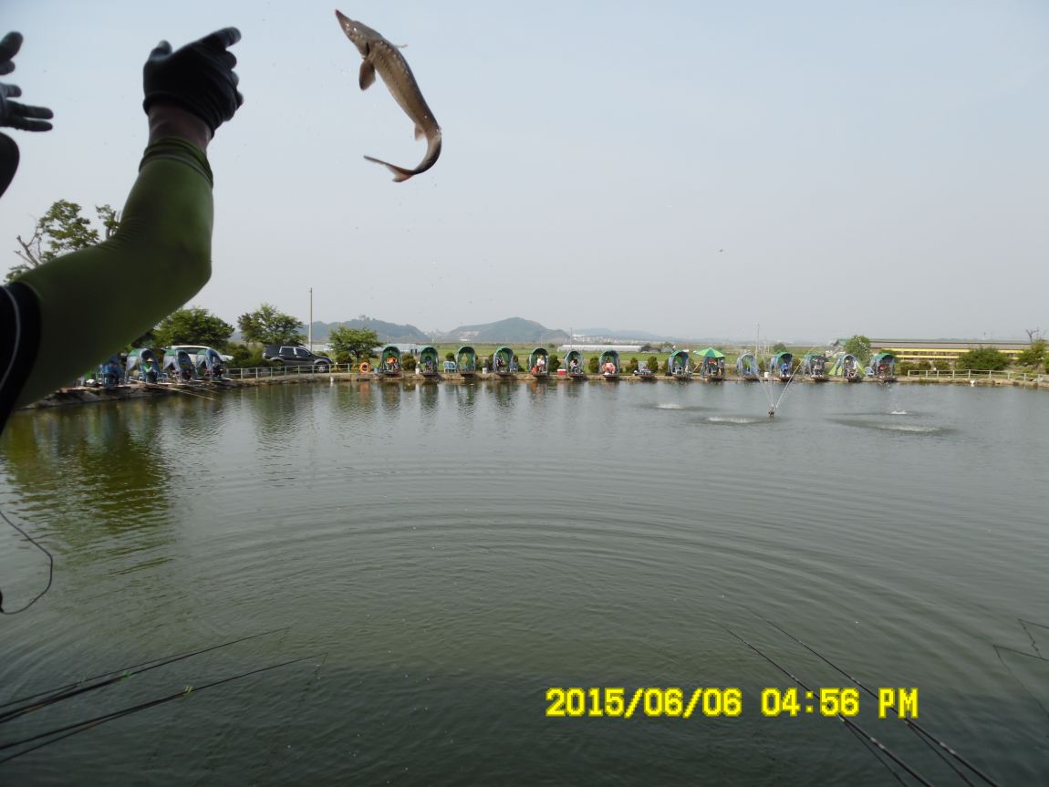 6��6��~8�� 102.JPG