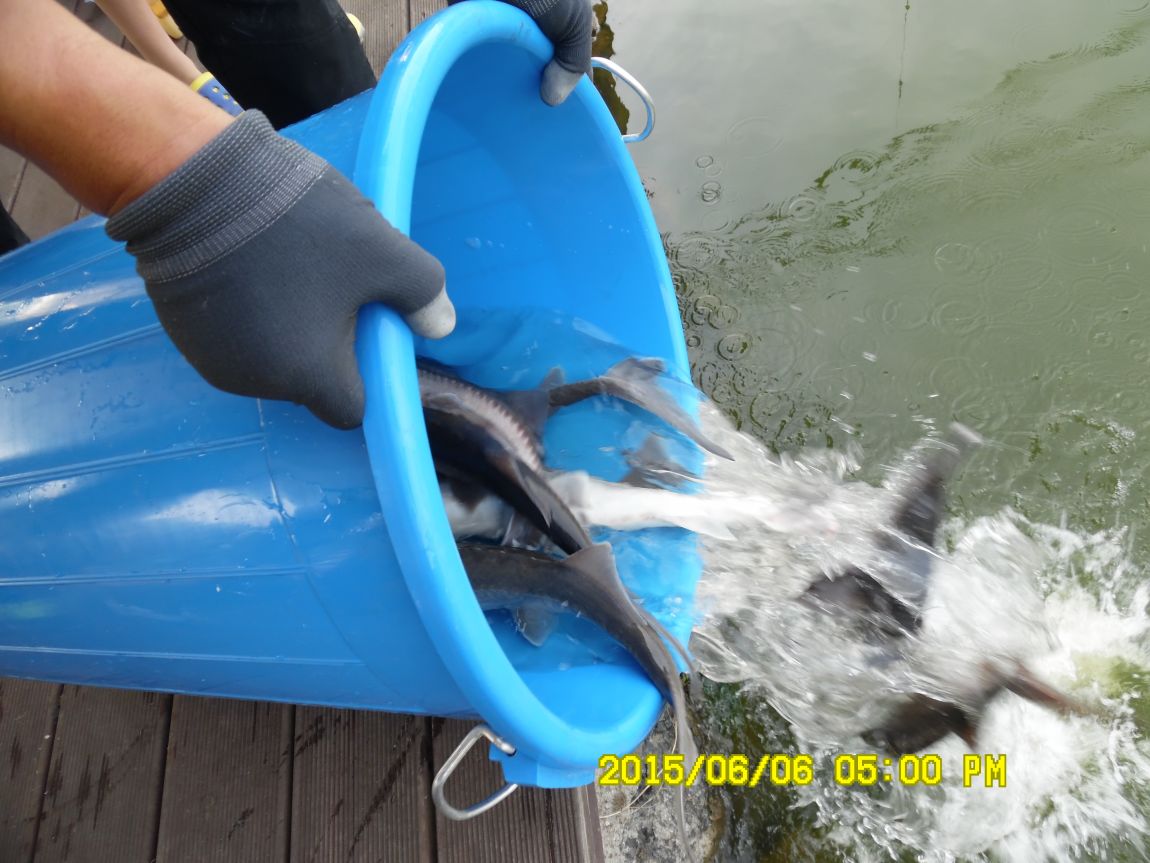 6��6��~8�� 105.JPG