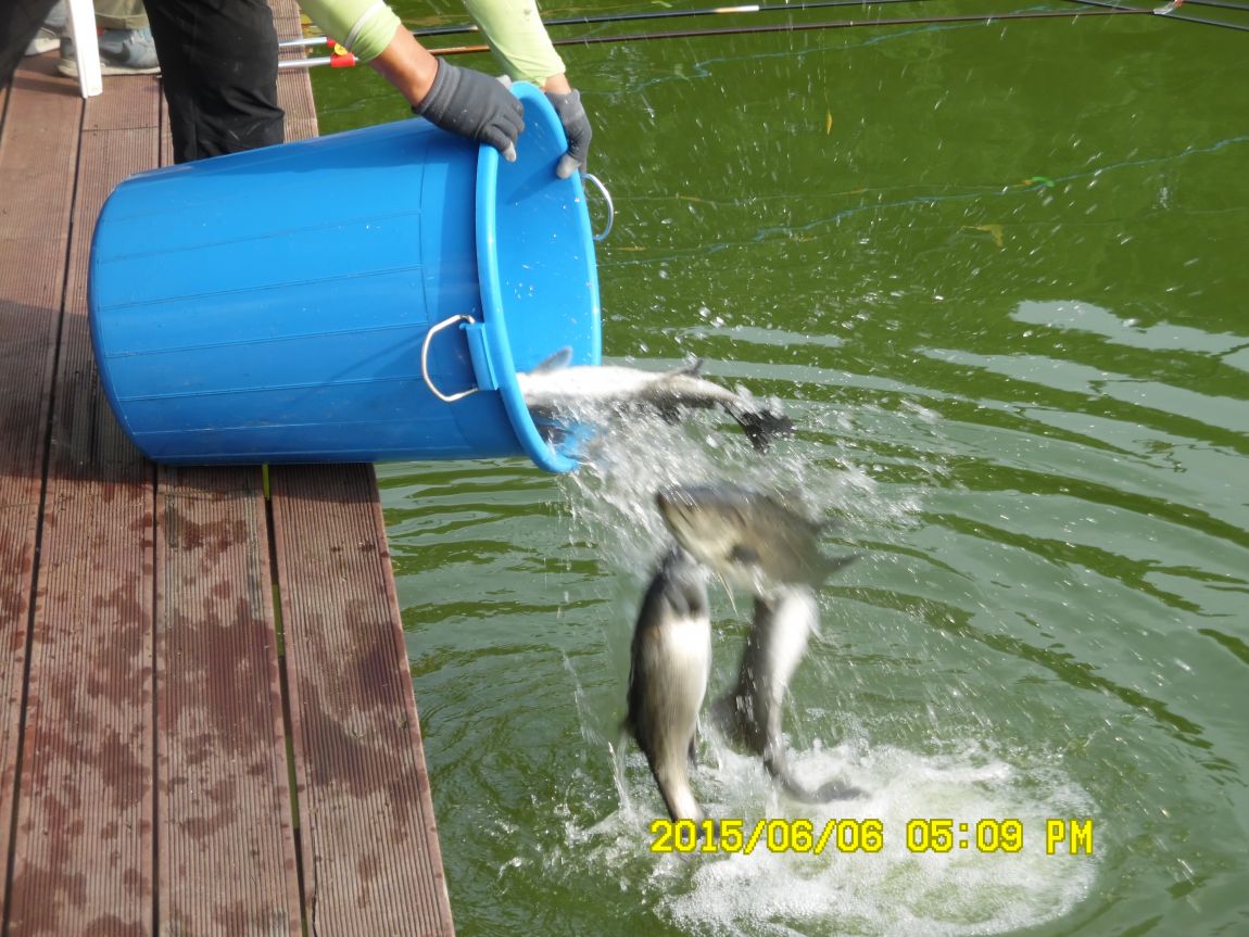 6��6��~8�� 111.JPG