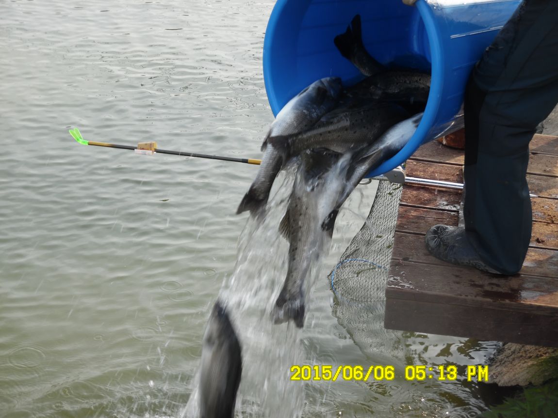 6��6��~8�� 117.JPG