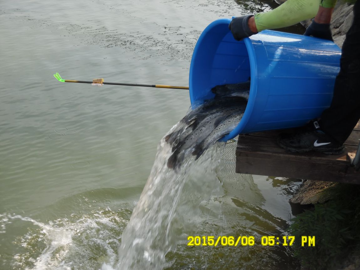 6��6��~8�� 118.JPG