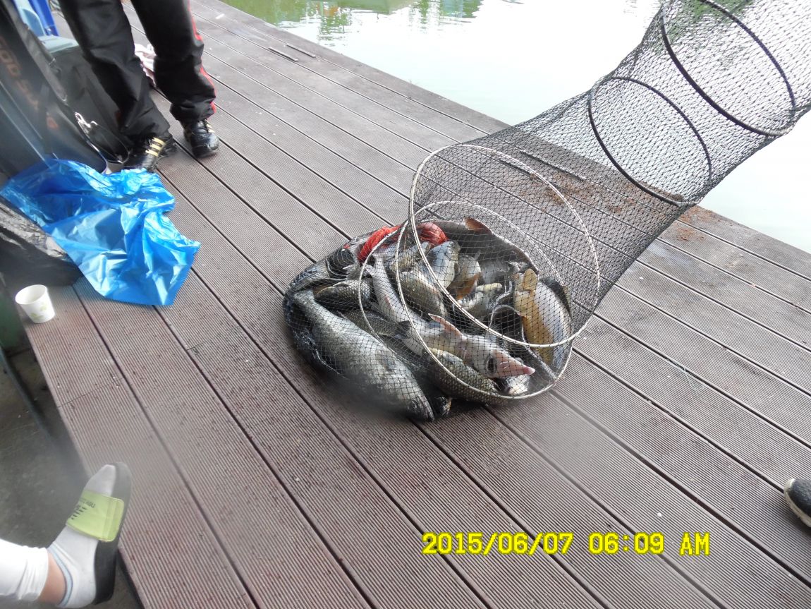 6��6��~8�� 147.JPG