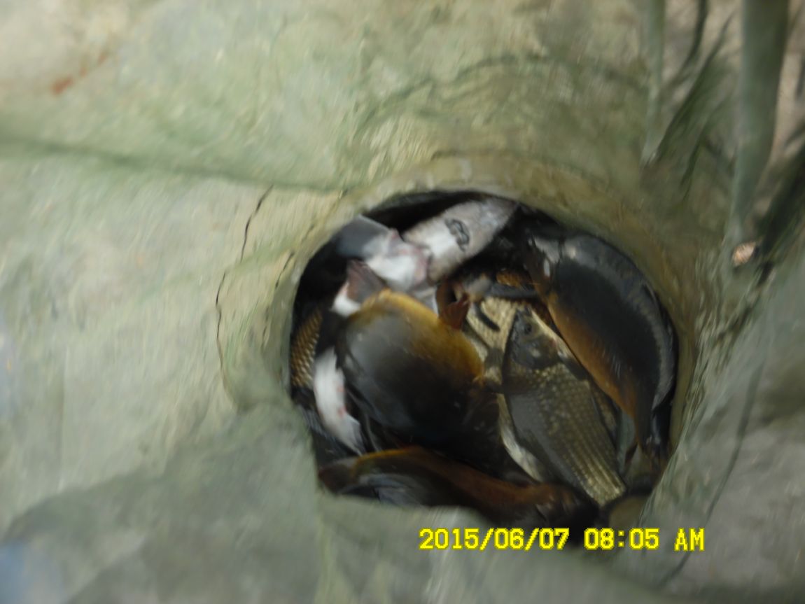 6��6��~8�� 155.JPG