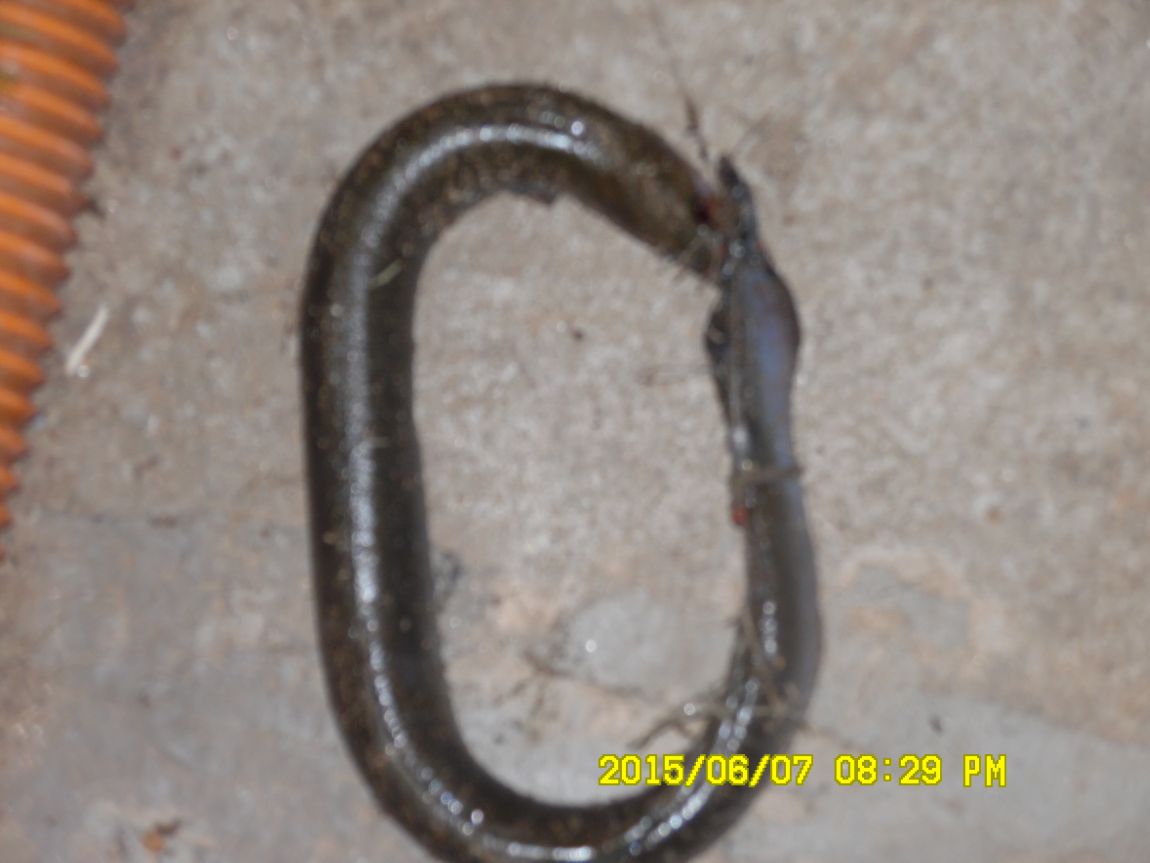 6��6��~8�� 159.JPG