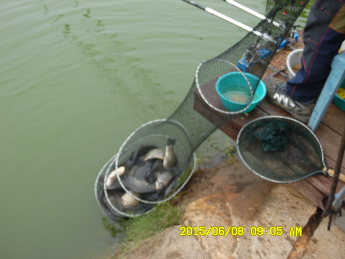 6��6��~8�� 162.JPG