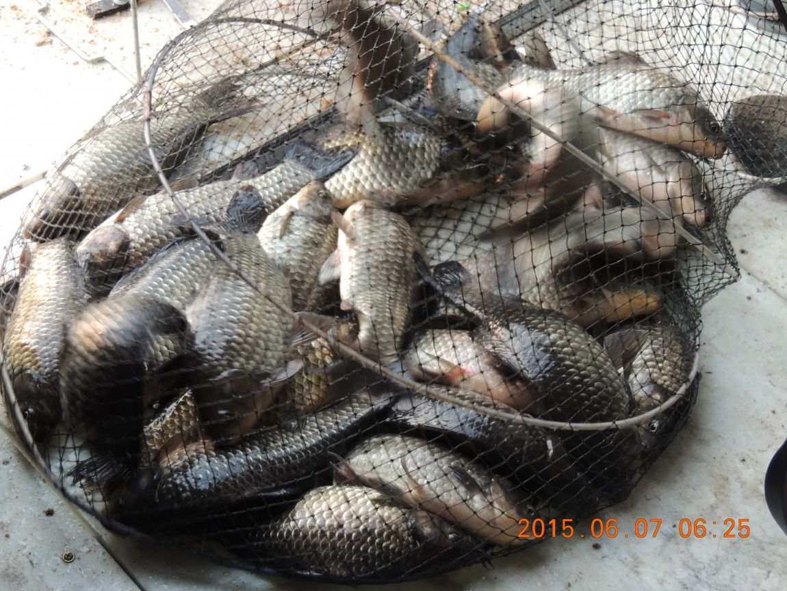 DSCN6750.JPG