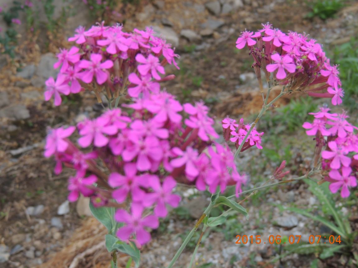 DSCN6756.JPG