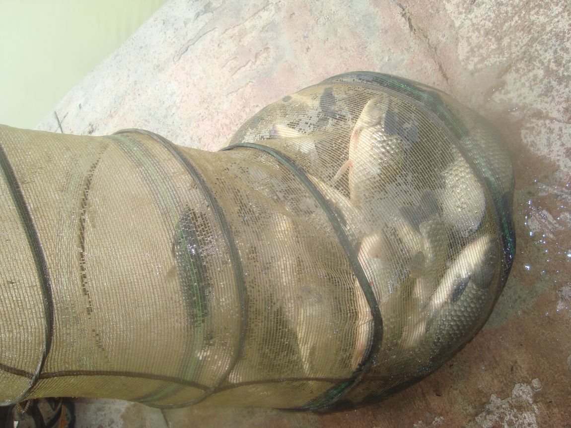 2015-6-4 004.JPG