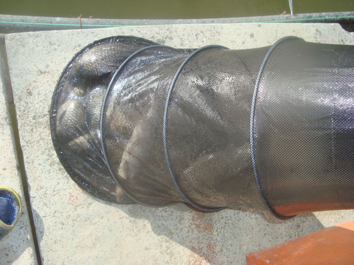 2015-6-4 008.JPG