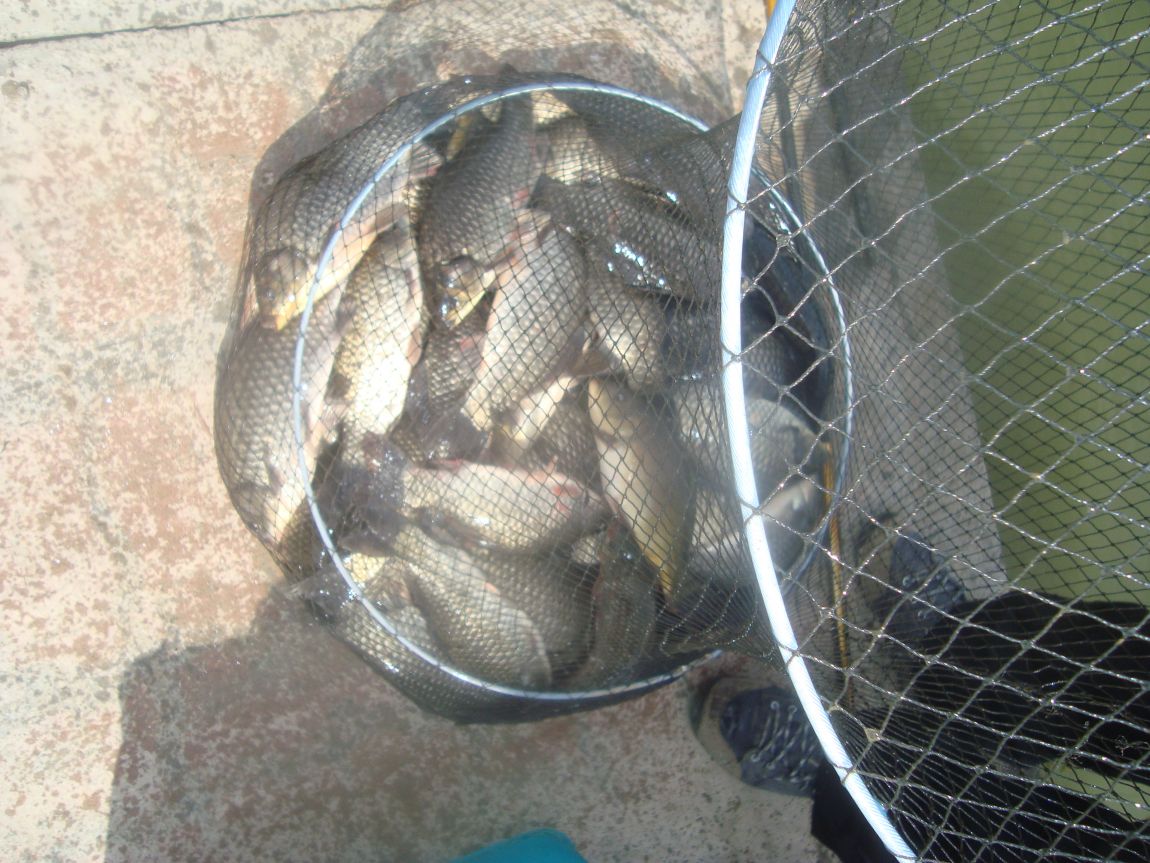 2015-6-4 011.JPG