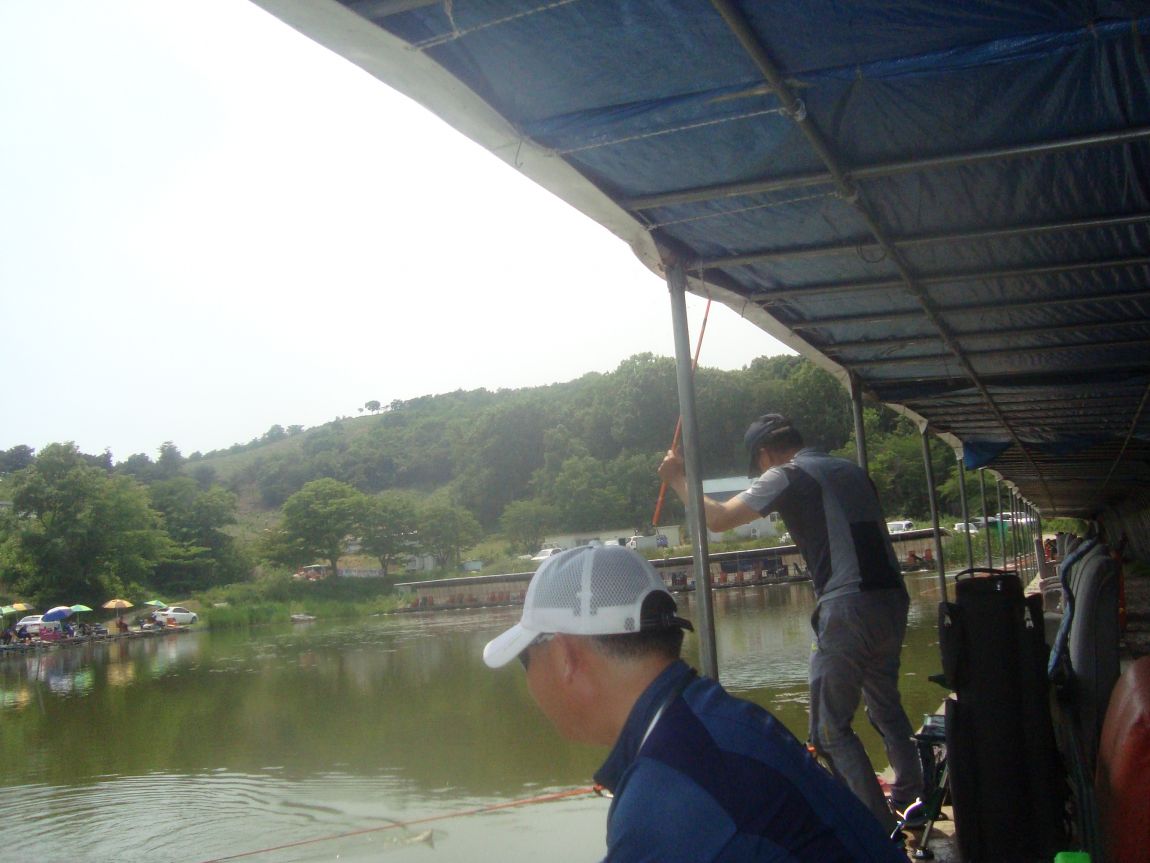 2015-6-4 019.JPG