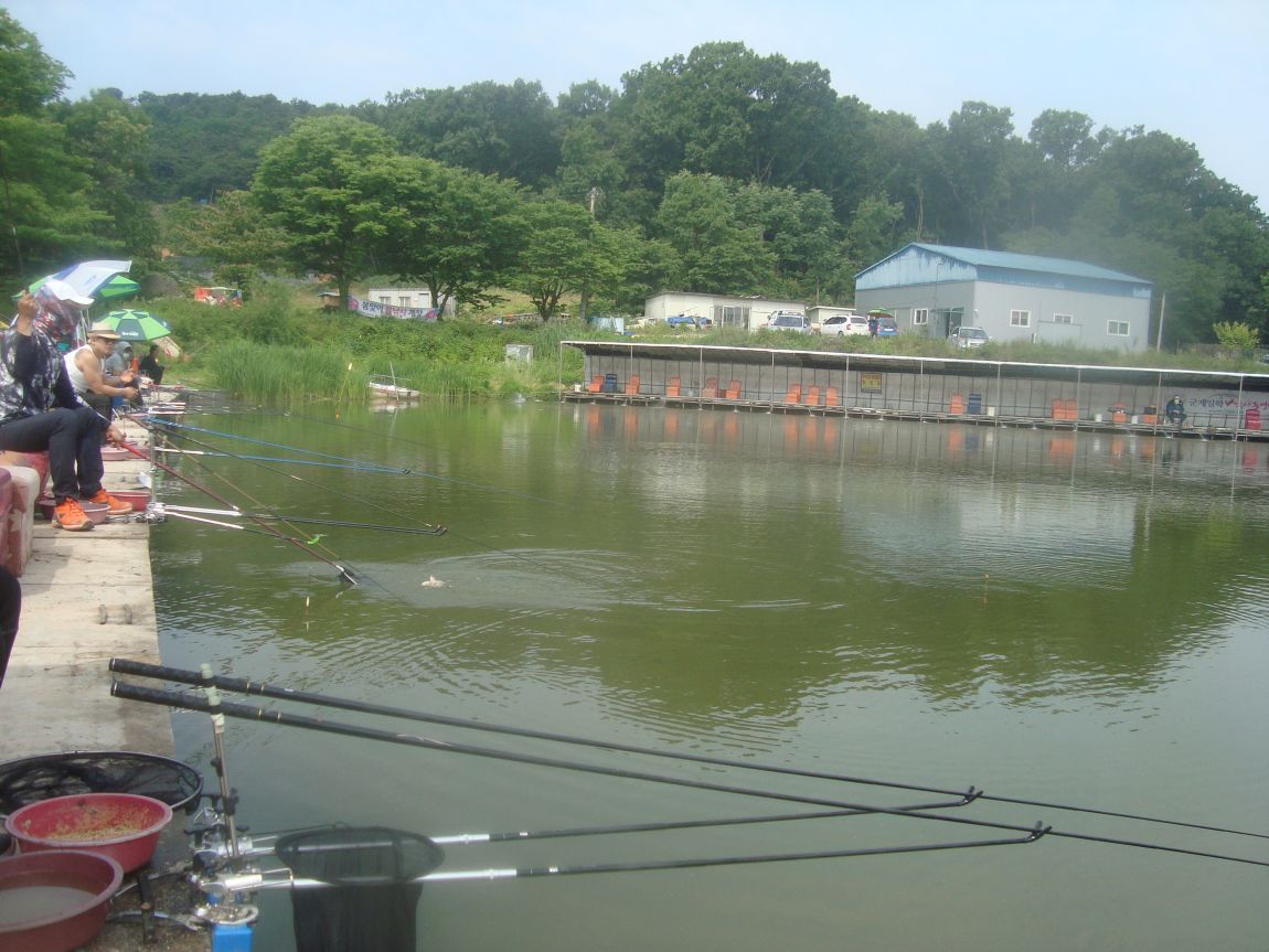 2015-6-4 045.JPG