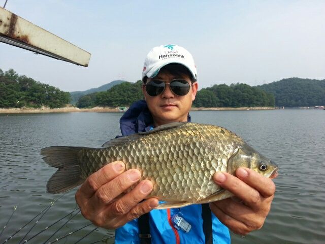 KakaoTalk_20150609_091630798.jpg