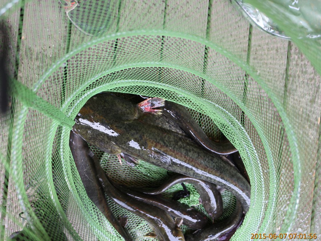 IMG_0005.jpg