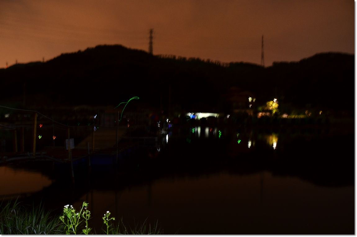 DSC_7356.JPG