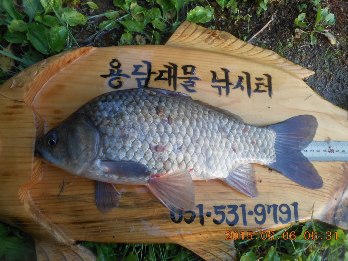 DSCN3873.JPG