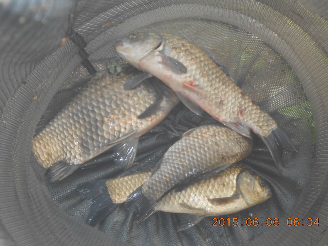 DSCN3875.JPG