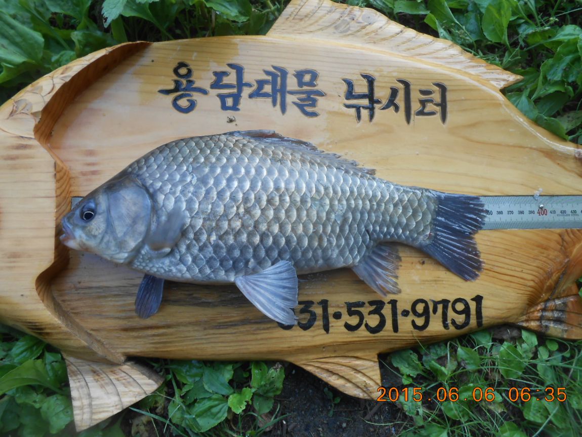 DSCN3877.JPG