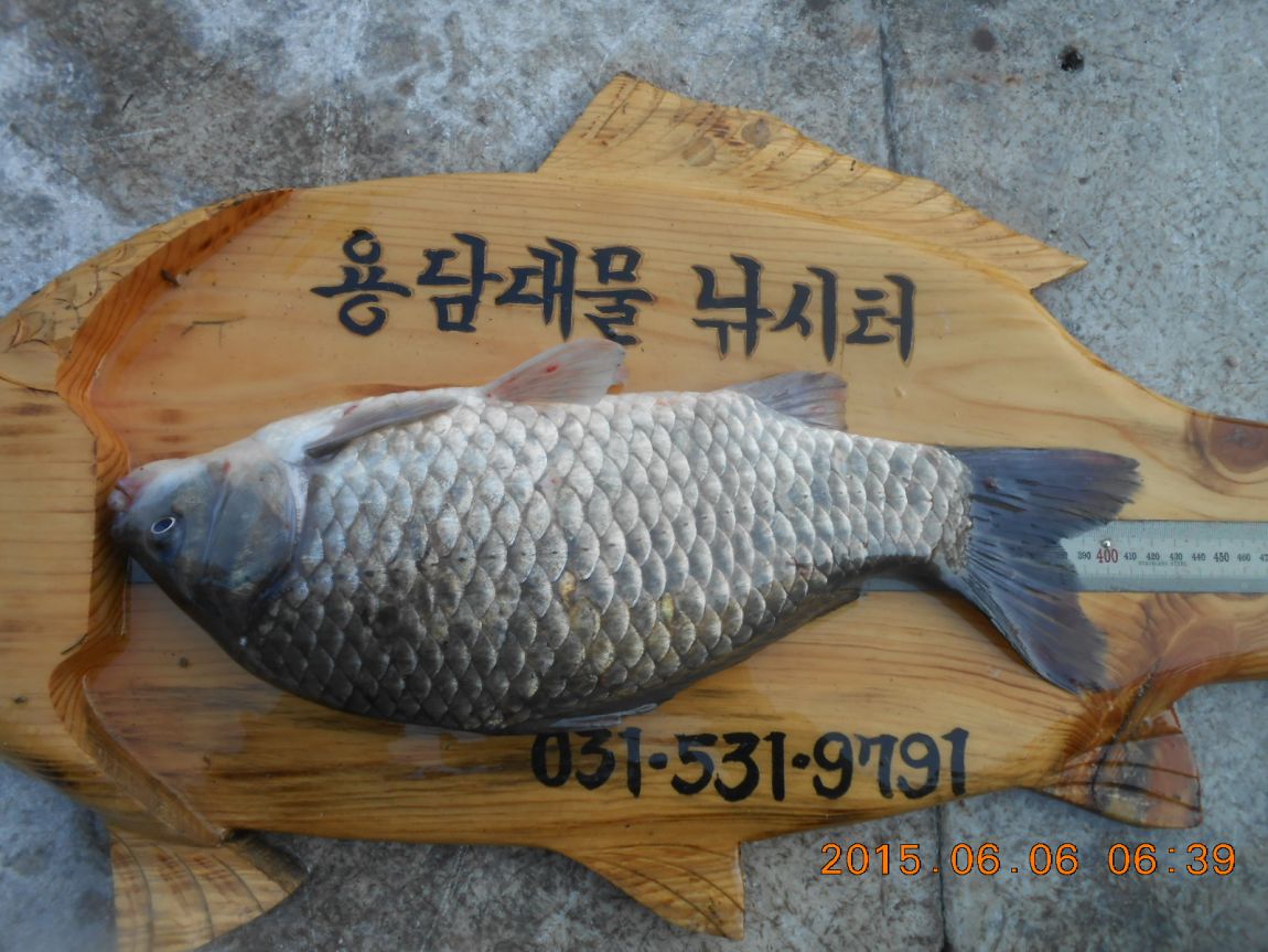 DSCN3878.JPG