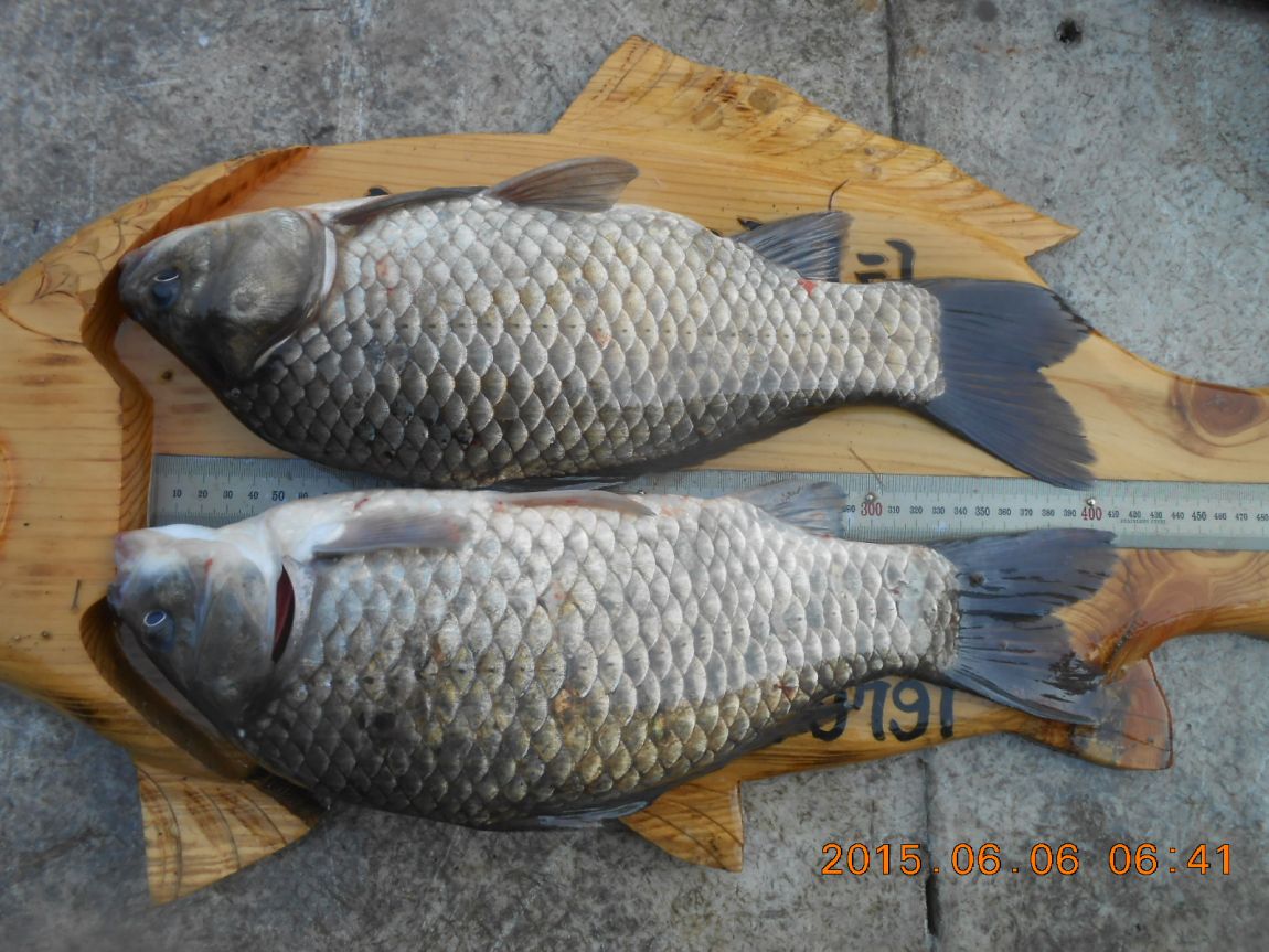 DSCN3879.JPG