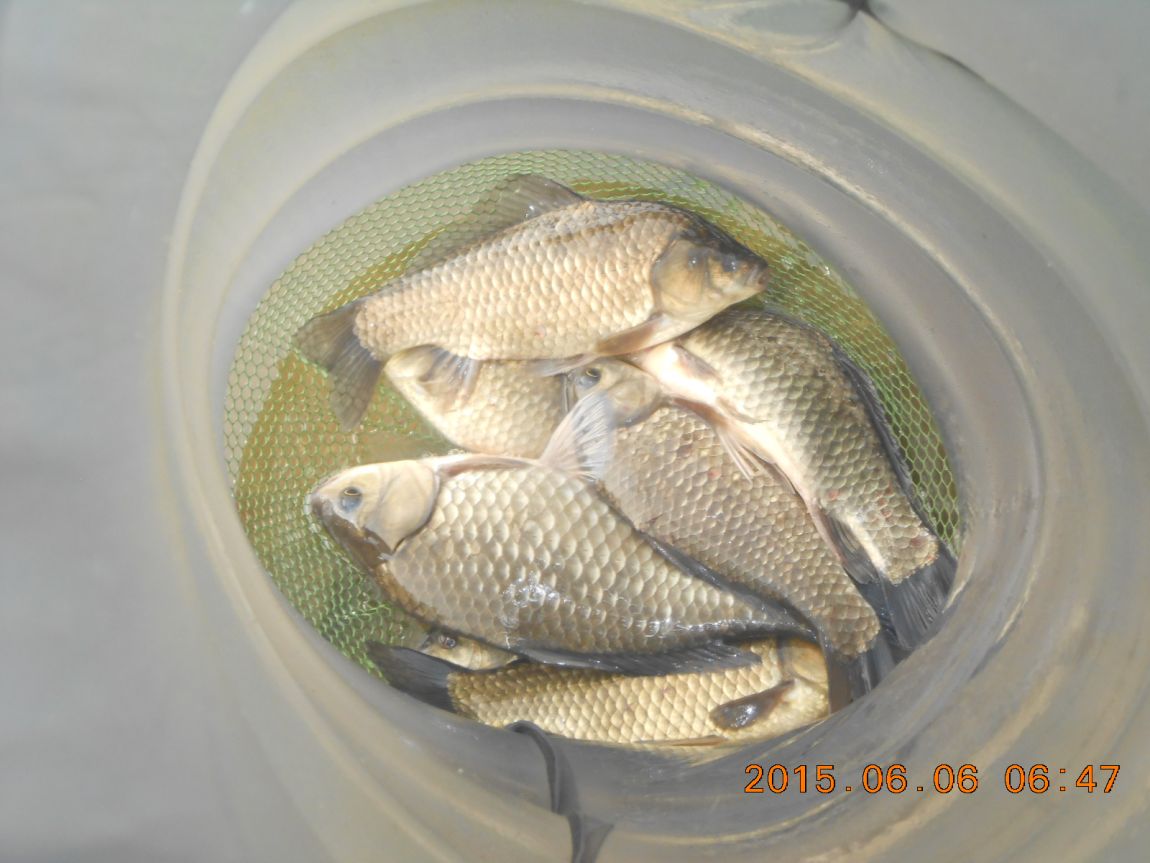 DSCN3880.JPG