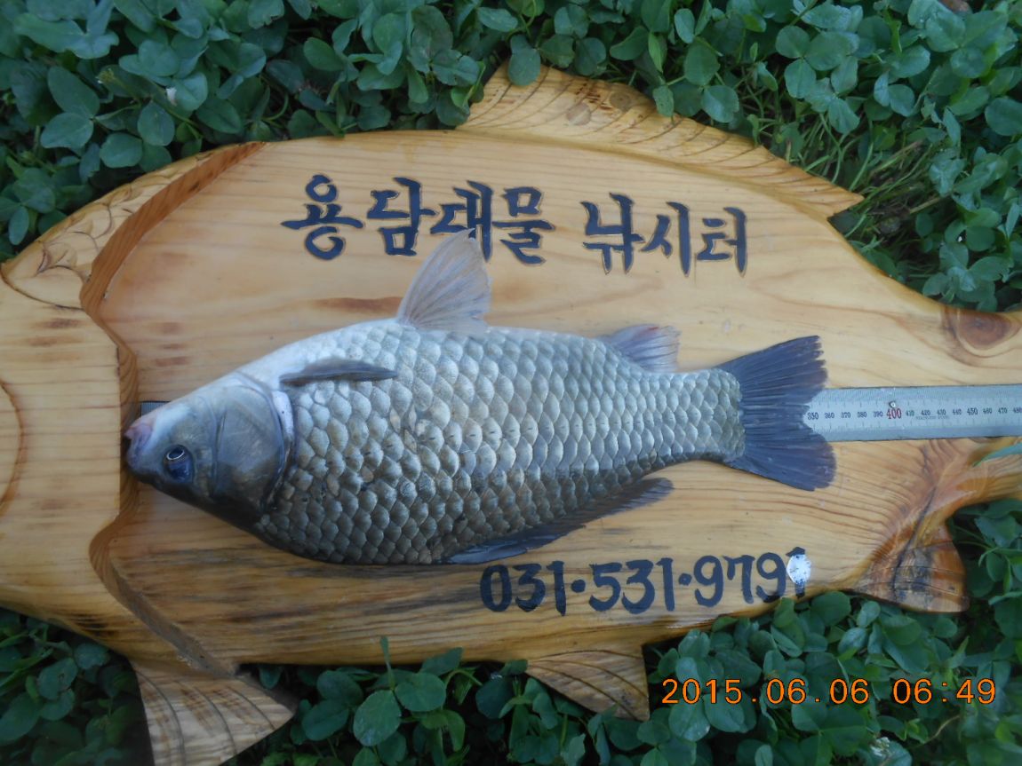 DSCN3881.JPG