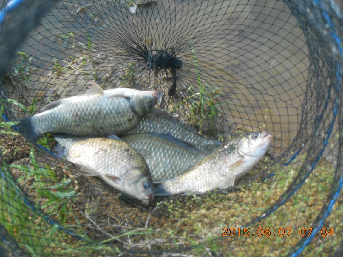 DSCN3895.JPG