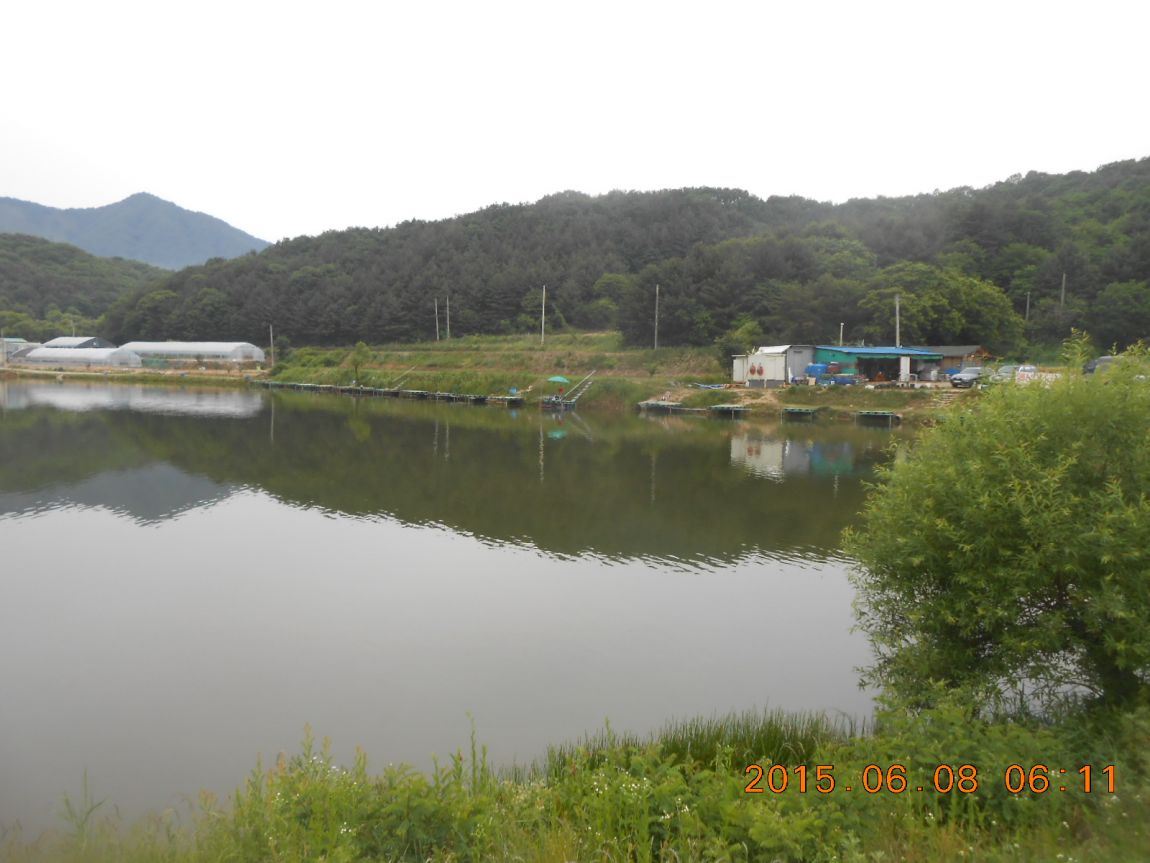 DSCN3896.JPG